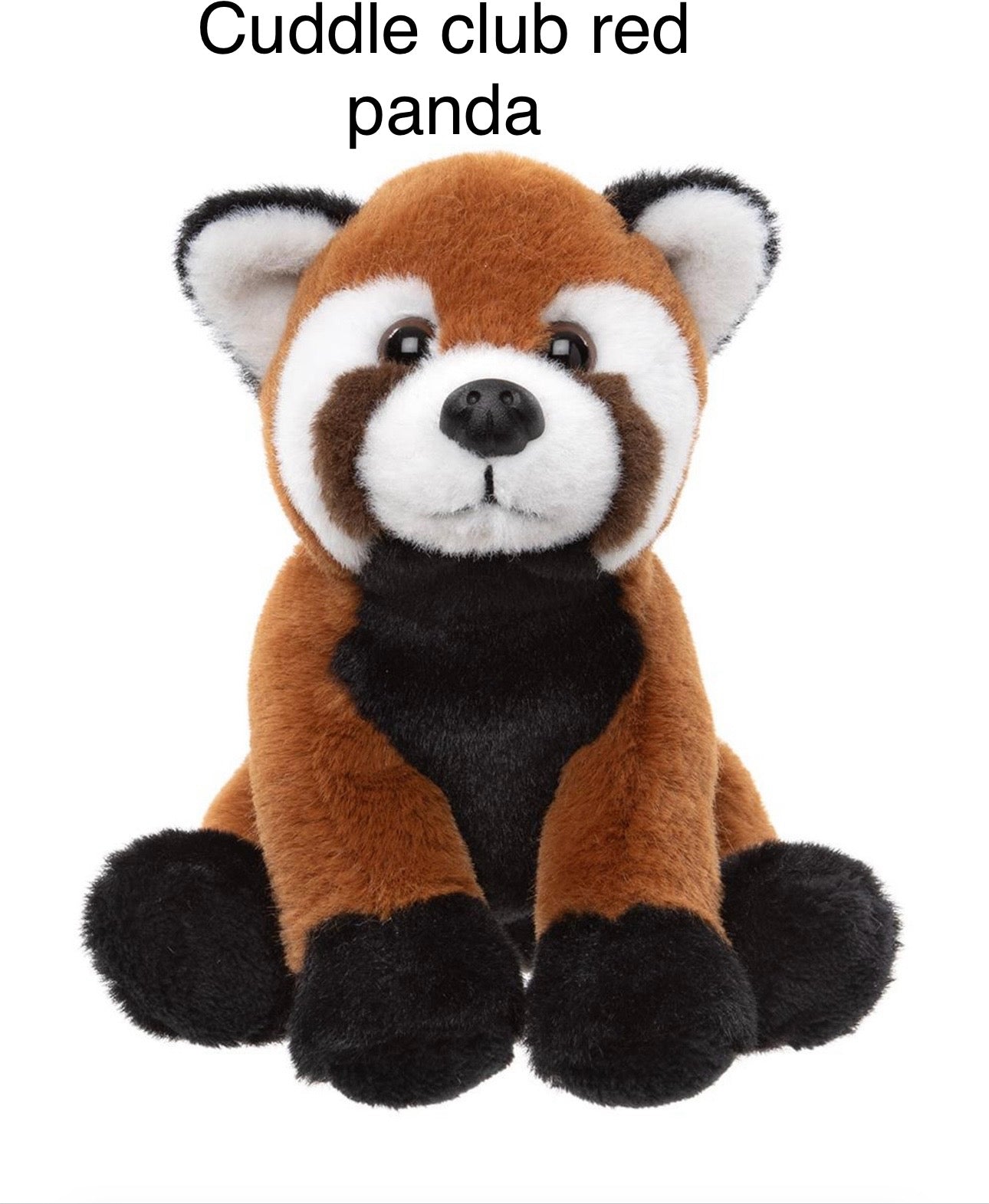 red panda