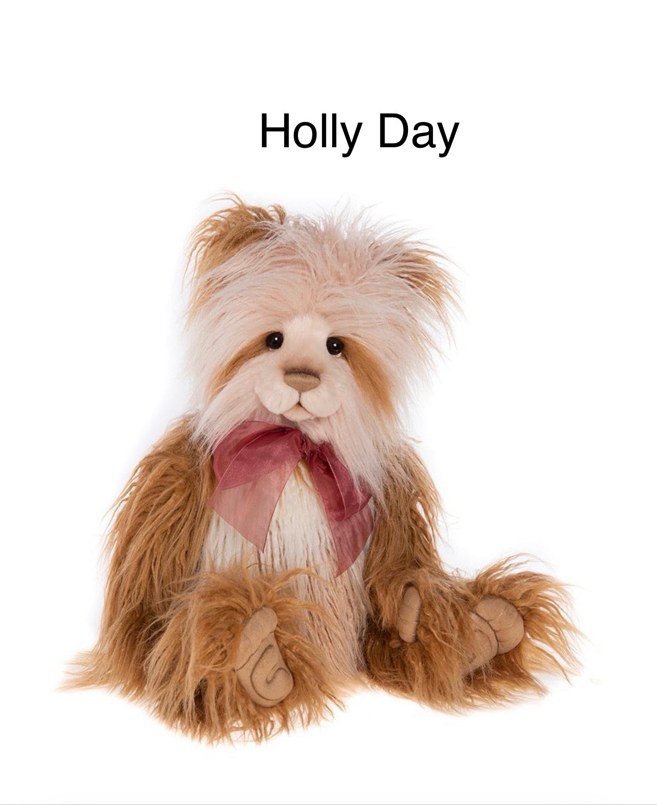 Holly day
