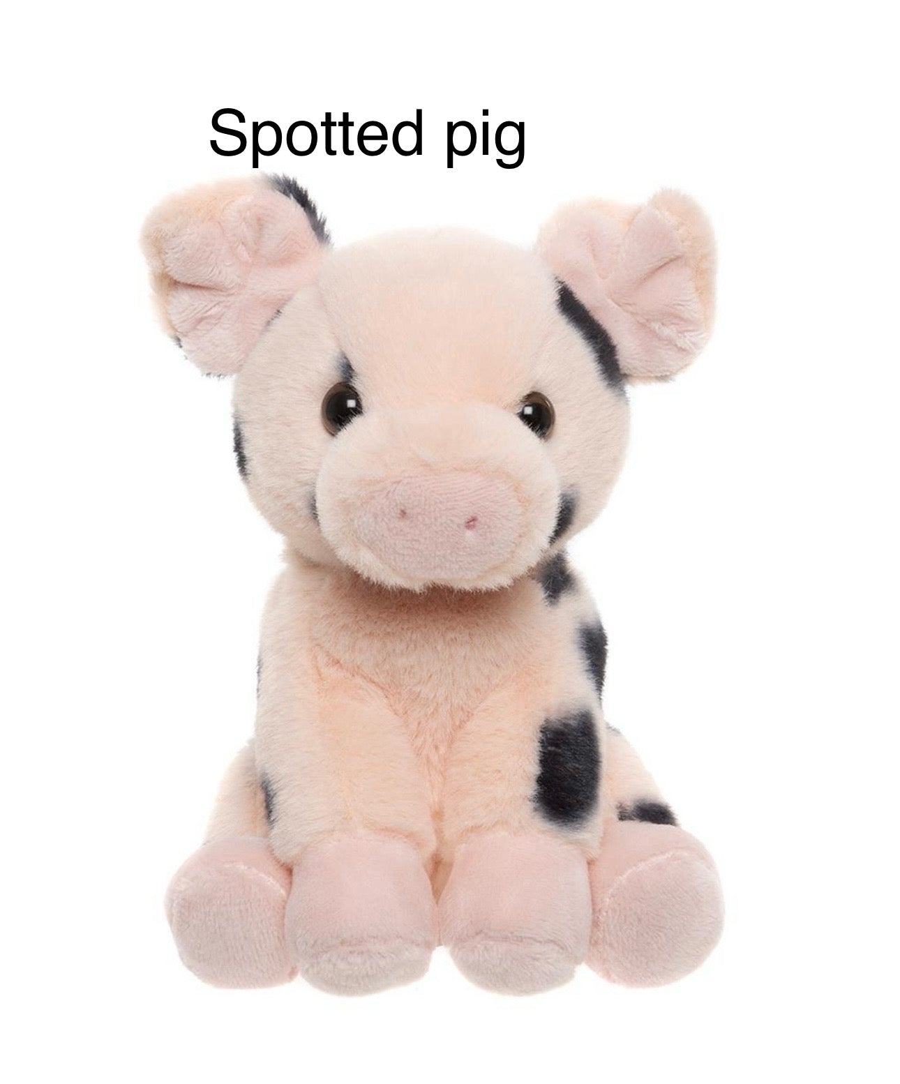 Spotted pig