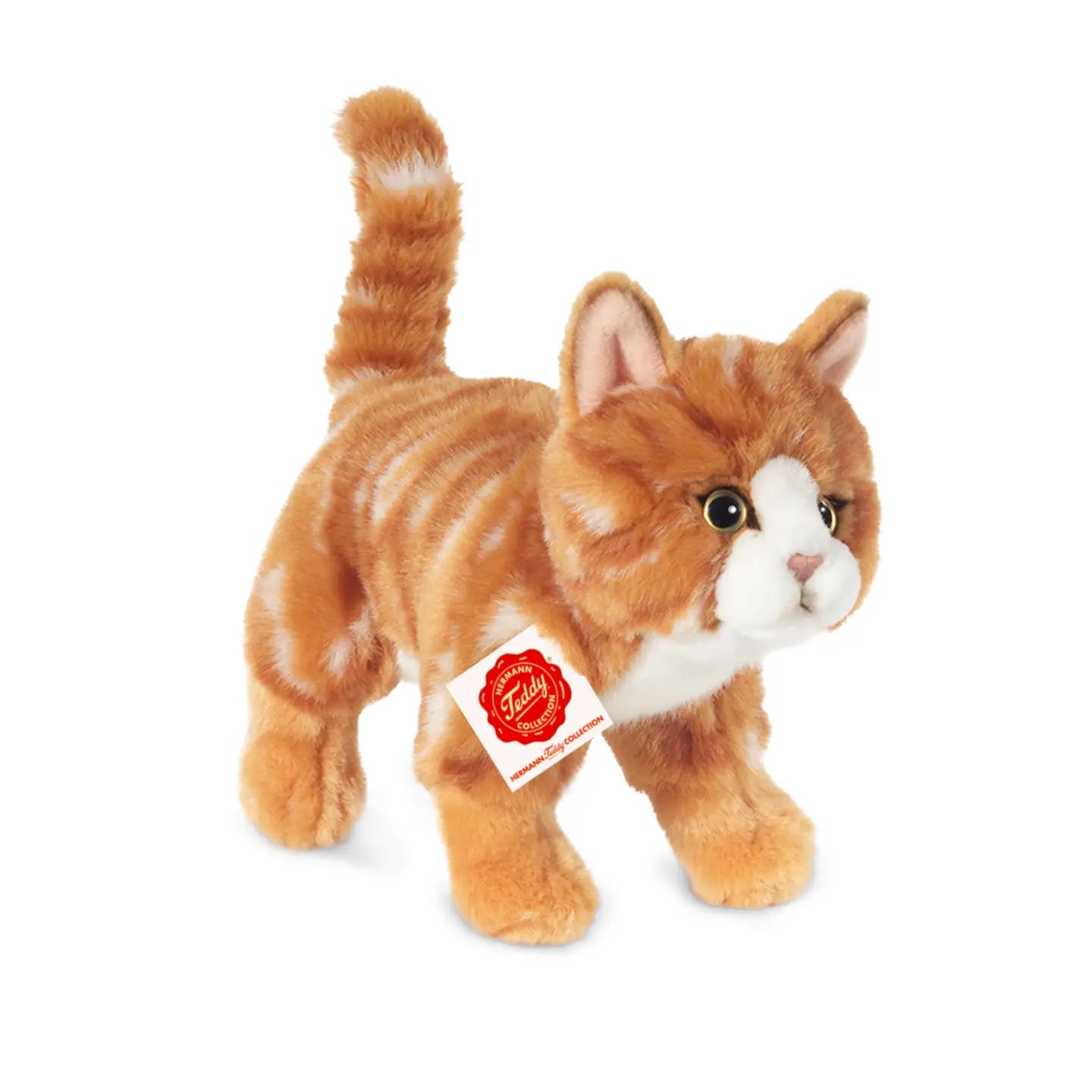 Ginger standing cat