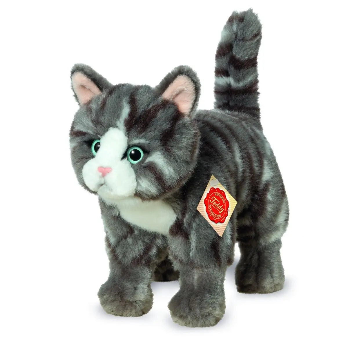 Grey standing tabby cat