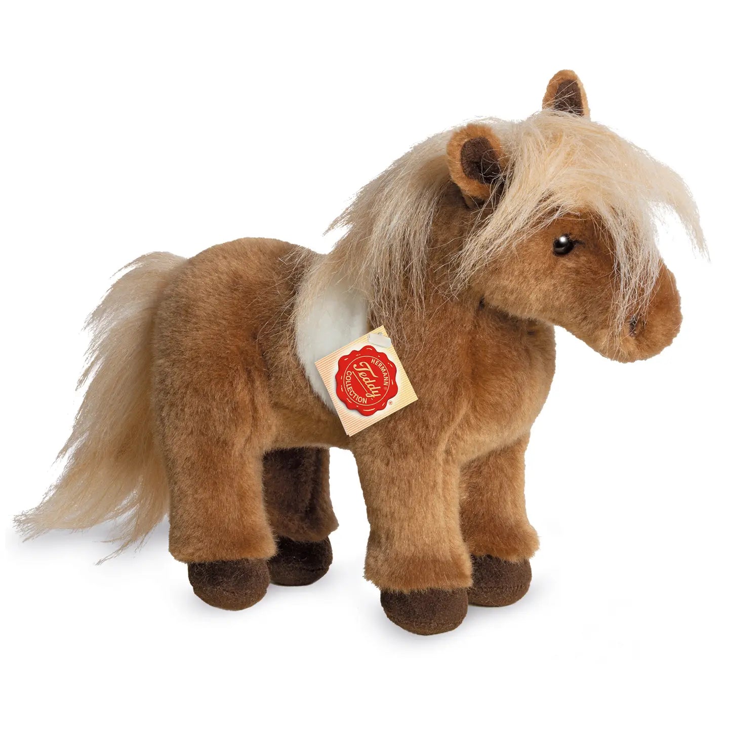 Shetland pony skewbald