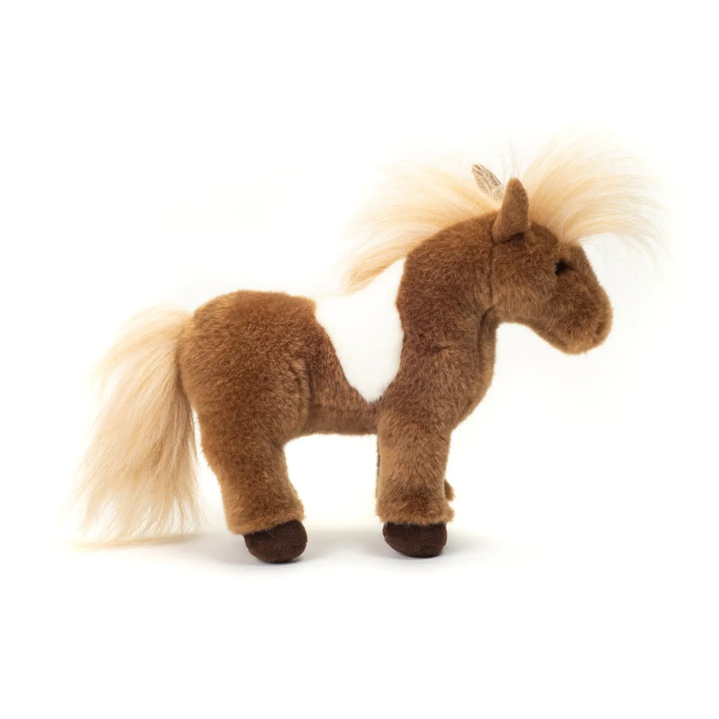 Shetland pony skewbald