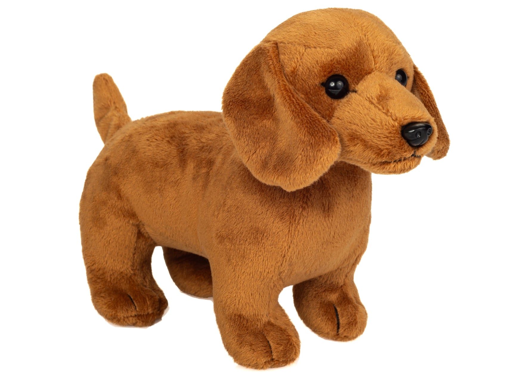 Miniature Dachshund red/tan