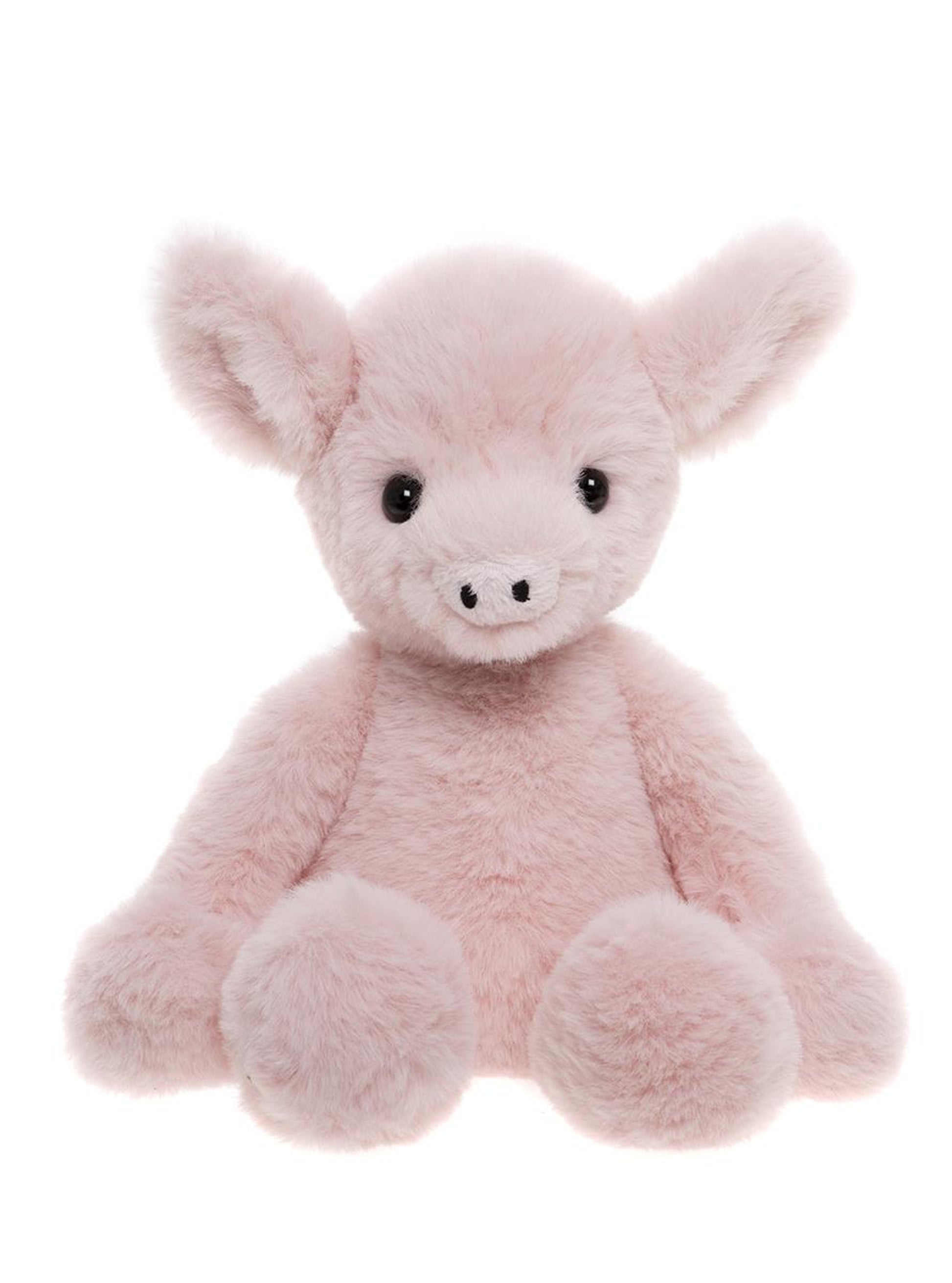 Truffles piglet